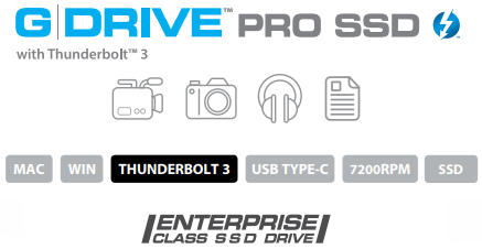 G-DRIVE Pro SSD Description